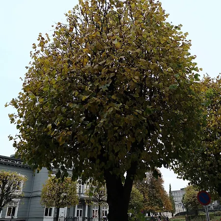 Апарт-готель Ole Bull, Western Signature Collection Берген