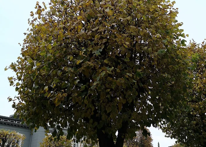 公寓式酒店 Ole Bull, Western Signature Collection 卑爾根